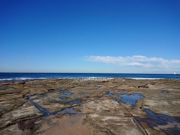 Scenic view of beach against blue sky