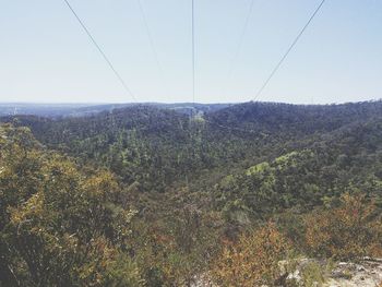 Scenic view of landscape