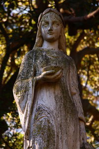 Close-up of statue against trees