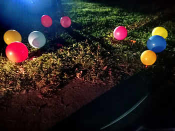 High angle view of balloons on tree at night