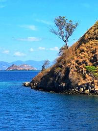 Scenic view of sea against blue sky