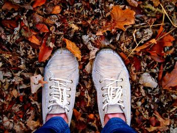 Low section of person standing on dry leaves