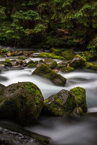 Scenic view of waterfall