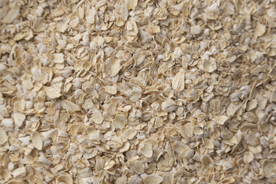 Full frame shot of oat flakes