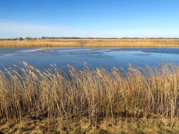 Scenic view of lake against clear blue sky