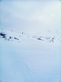 Flock of birds on snow covered land against sky