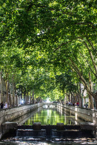 View of footbridge in city