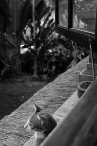 Bird perching on wooden post