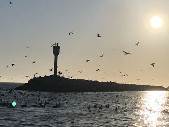 Seagulls flying over sea against sky during sunset