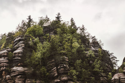 Low angle view of rocks and trees against sky