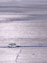 Colorful ice piece in evening polar sun. abstract icy nature background.