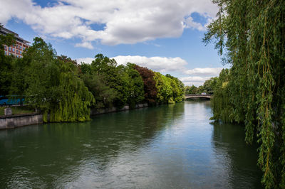 Scenic view of river amidst trees against sky