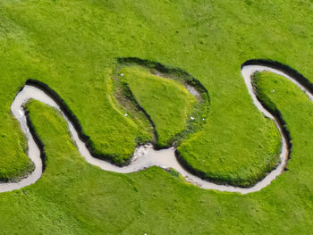 green