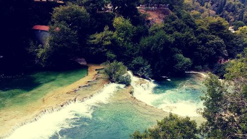 River in forest