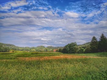 Scenic view of field against sky