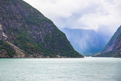 Fjord in norway - nature and travel background. beautiful view of the coast of fjord on a summer day