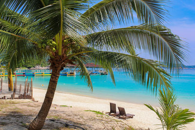 Palm tree by swimming pool against sky