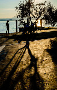 Silhouette of man walking on footpath