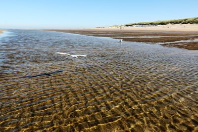 Scenic view of beach against clear sky