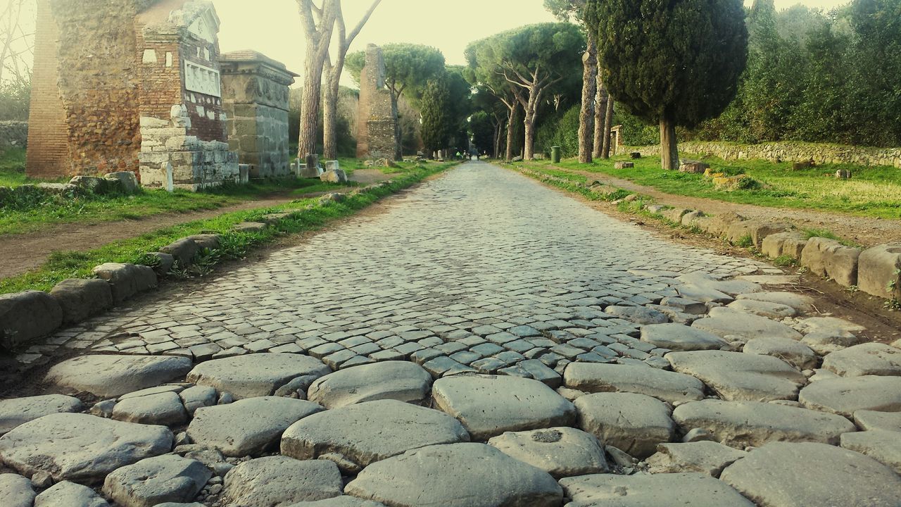 the way forward, architecture, built structure, building exterior, stone wall, diminishing perspective, cobblestone, tree, vanishing point, footpath, day, growth, plant, outdoors, no people, walkway, pathway, stone - object, wall - building feature, street