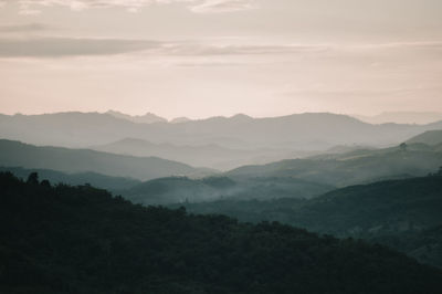 environment