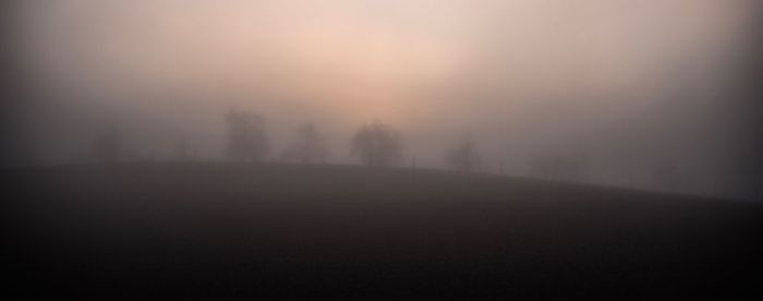 Trees on landscape against sky