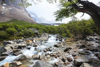 Stream flowing through rocks in forest against sky