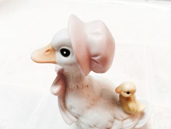 Close-up of kitten on white background