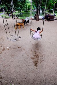 Children sitting on swing in playground