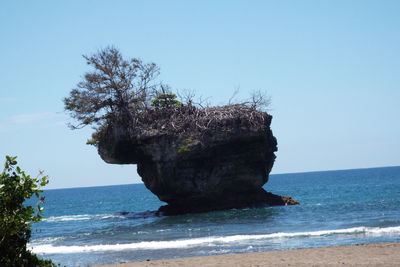 Scenic view of sea against clear sky