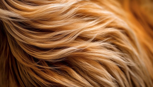 Close-up of woman with blond hair