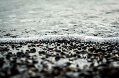 Surface level of pebbles