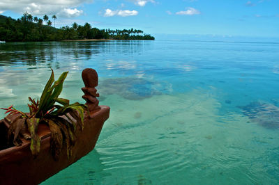 Close-up of plant in sea against sky