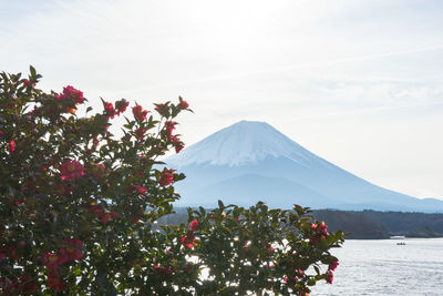 Scenic view of snowcapped mountain against sky