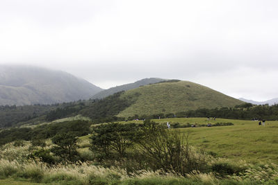 Scenic view of field and mountains against sky