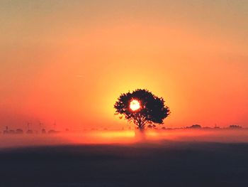 Silhouette trees on landscape against orange sky