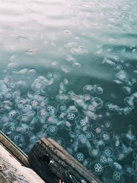 High angle view of wet glass window