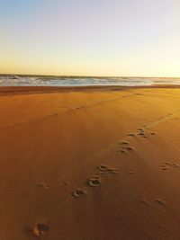 Footprints on sand at beach against clear sky