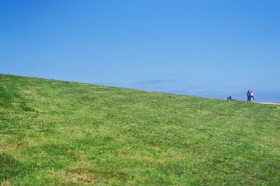 People on field against clear sky