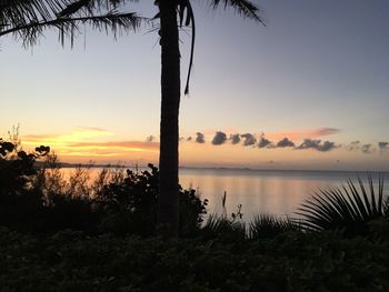 Scenic view of lake during sunset