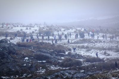 Scenic view of snow covered mountains