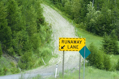 Road sign by trees in forest