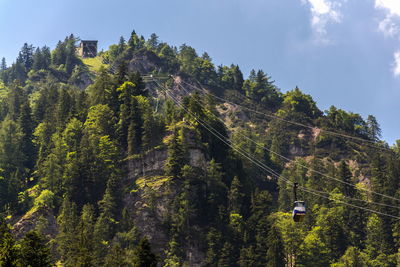 Panoramic view of trees and mountains against sky