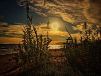 View of sea against cloudy sky during sunset