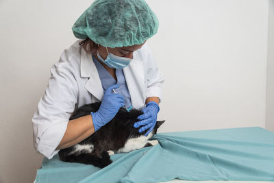Veterinarian checks cat in veterinary clinic by injecting medication.
