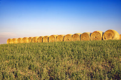 Hay bales on field against sky