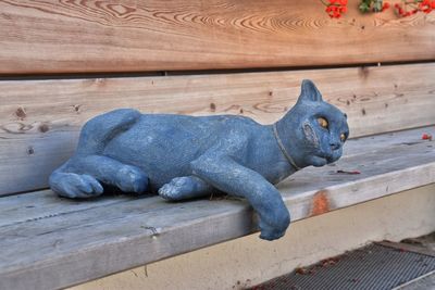 Close-up of lion statue