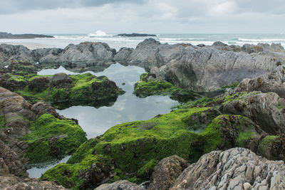 Scenic view of sea against sky