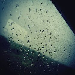 Close-up of water drops on leaf