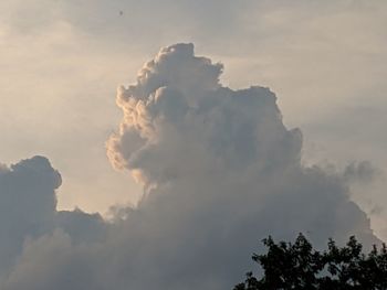 Low angle view of trees against sky during sunset